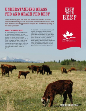 thumbnail of 3208_CANBEEF_factsheet_NUTRITION-2016