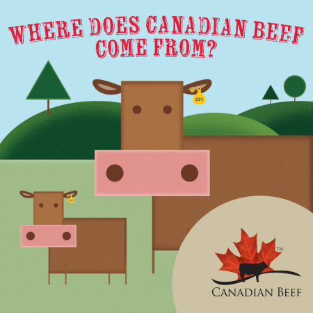 Where Does Canadian Beef Come From?