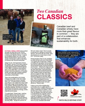 thumbnail of CanadaBeef_LCBO Spring 2020 article ad