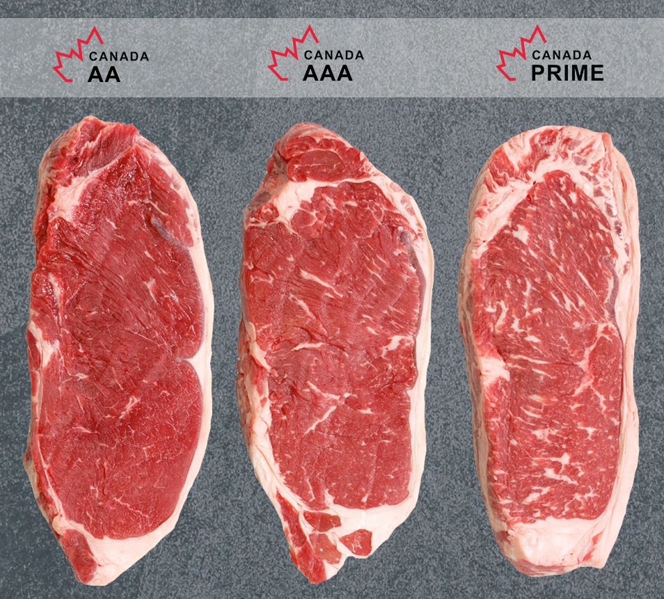 Graded for Greatness - Canadian Beef
