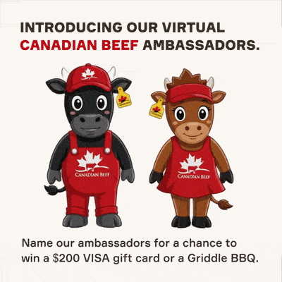 CLICK HERE TO ENTER NOW