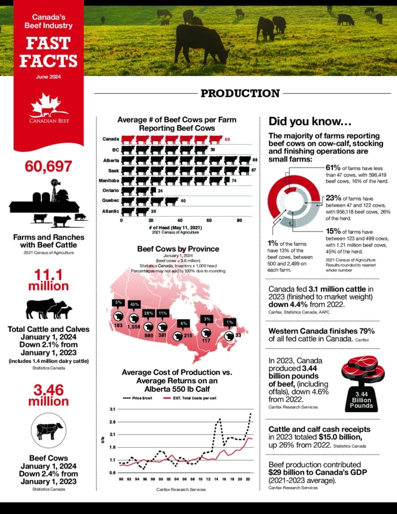 thumbnail of Canada Beef Fact Sheet June 2024